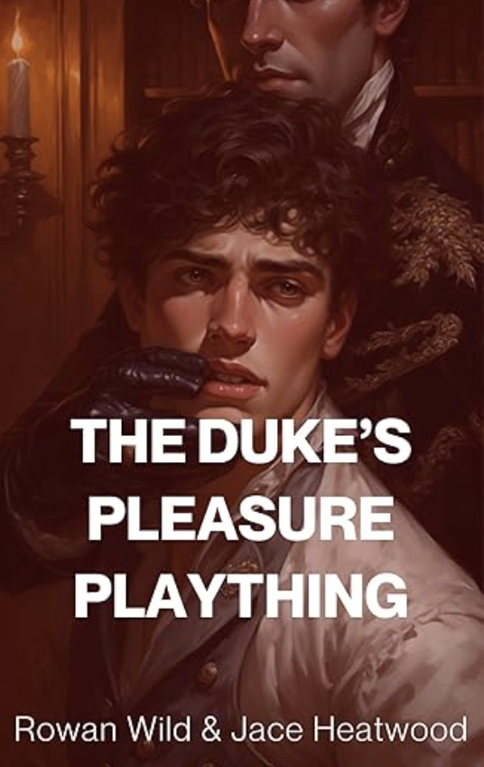The Duke's Pleasure Plaything cover